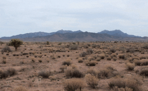 Bored No One GIF - Bored No One GIF