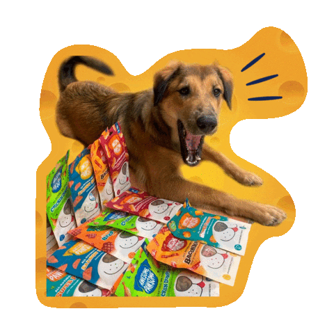 Dog Wow Sticker by Awesome Pawsome Treats