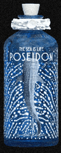 Whale Shark GIF by The Sea is Life Poseidon GIn