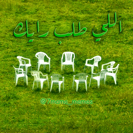 حمامة ميمز GIF