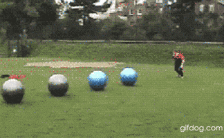 least fun GIF