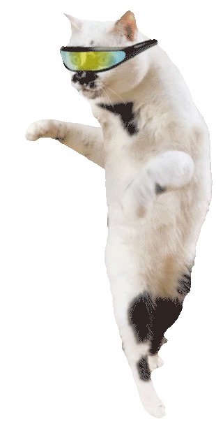 Cat Raving Sticker by DGTL for iOS & Android | GIPHY