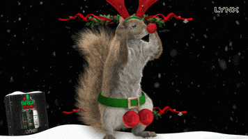 Squirrel Jingle GIF by Lynx