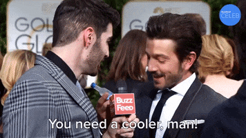 Golden Globes Cooler GIF by BuzzFeed