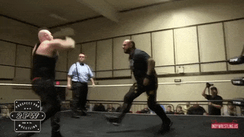 Pittsburgh GIF