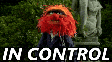 the muppets in control GIF