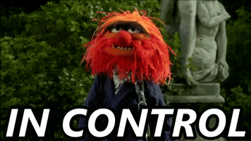 The Muppets Control GIF