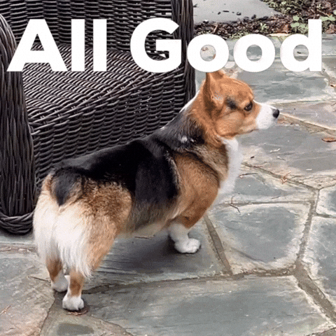 All Good Dog GIF
