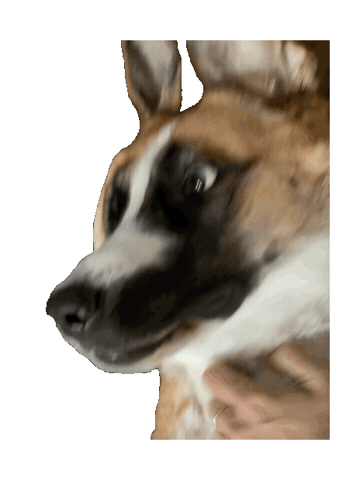 Dog Sticker