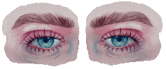 Roll Eye Sticker