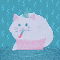 Birthday Cat animated GIF