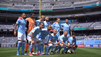 Game Time Team GIF by NYCFC