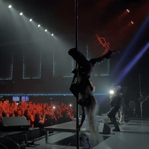 Poledance GIF by Murkagrey