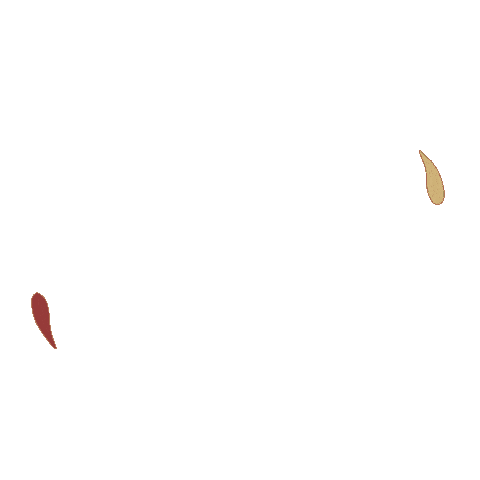 San Giorgio SPA Sticker