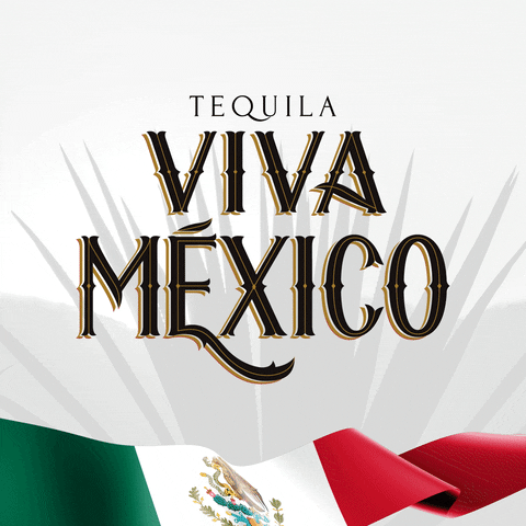 Viva Mexico GIF by Casa Tequilera Viva México