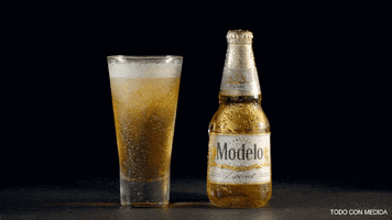Beer Chela GIF by Cerveza Modelo MX