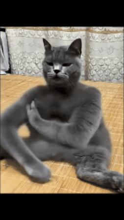 Dance GIF