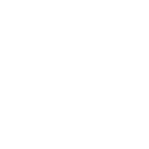 Generation Visa Sticker