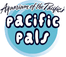 Puppets Sticker by Aquarium of the Pacific