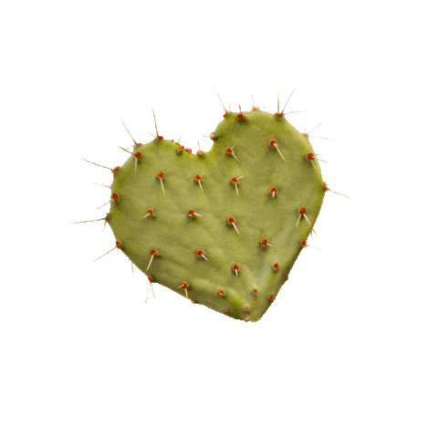 heart cactus Sticker by 150UP