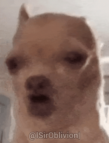 Singing Dog GIF