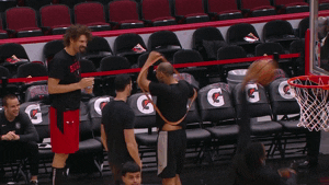 robin lopez chicago GIF by NBA
