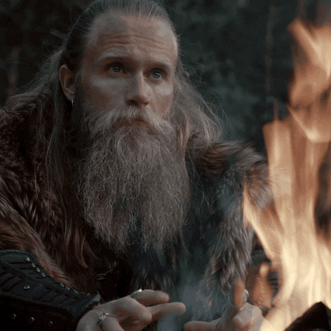 Fire Vikings GIF by THE BEARD STRUGGLE