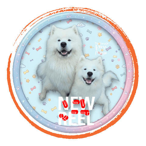 Video New Post Sticker