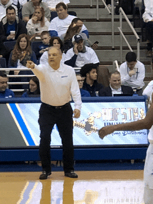 college basketball GIF by Hofstra University