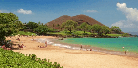 Hawaii Beach GIFs - Get the best GIF on GIPHY