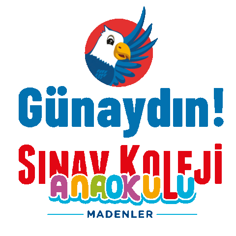 sinavanaokulumadenler Sticker