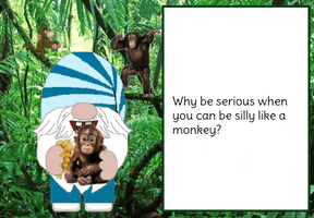 Monkey Gnome GIF