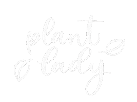 Noveny Pilea Sticker