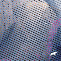 Dogs Love GIF by Puppy Bowl