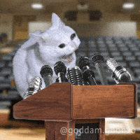 cat-mic-speech-B4Zz0F9mEbwLmuoAhE
