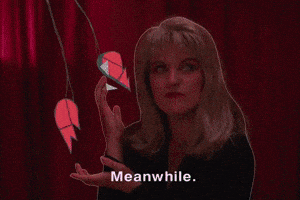 Twin Peaks Wtf GIF