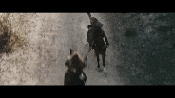 Horse Attack GIF by VVS FILMS