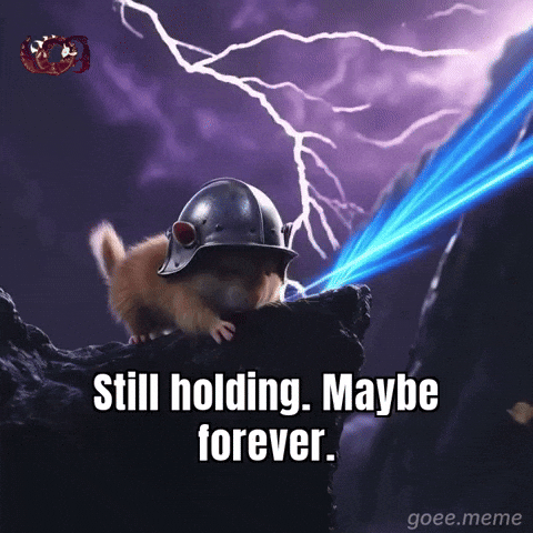 Crypto Holding GIF by Goeememe