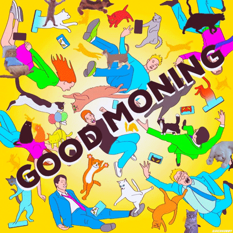 Good Morning Cats GIF by PEEKASSO
