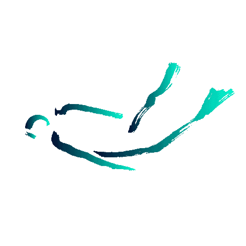 Scuba Show Sticker