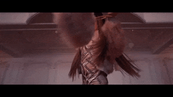 Wgff GIF