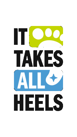 Unc Sticker by UNC-Chapel Hill