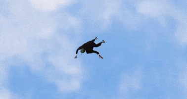 Jump Falling GIF by Junior Mesa