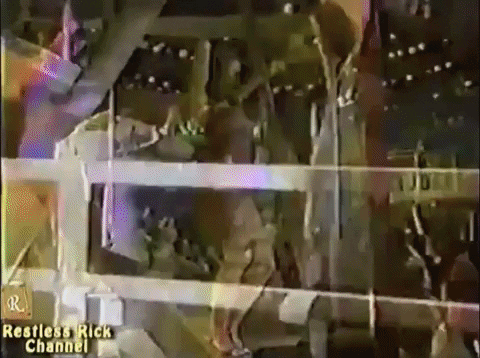 giphy.gif?cid=4d1e4f29a32276b05f7d434cde00fb7d1f2c4ee471452d08&rid=giphy.gif