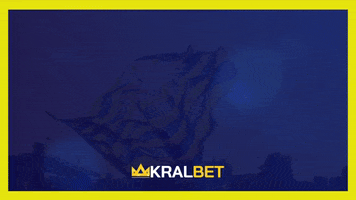 Istanbul GIF by KralBet