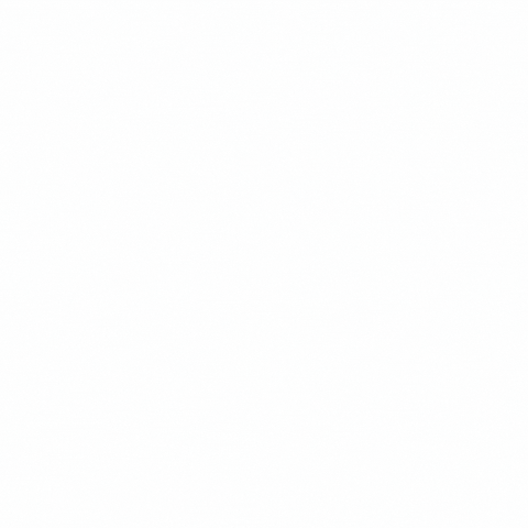 Camping Summer Camp GIF by ACANewEngland