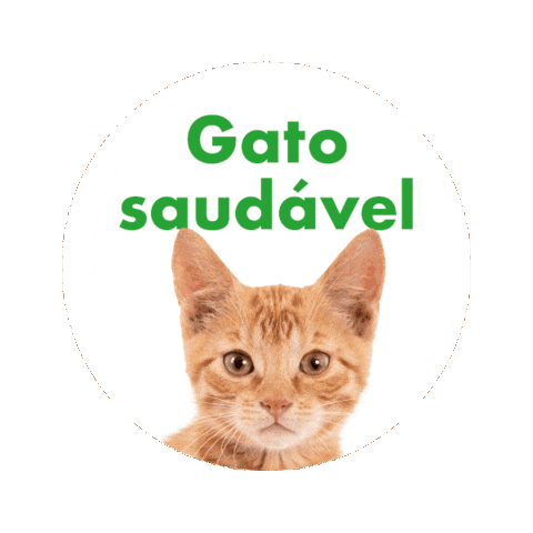 Nobivac Felv Sticker by MSD Família Pet