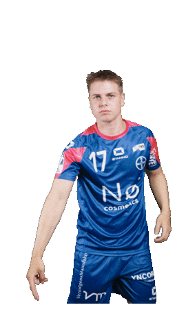 Handball Sticker by TSV Bayer Dormagen