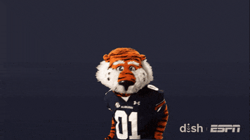 Happy College Football GIF by DISH