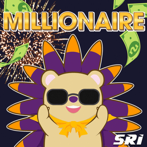 Millionaire GIF by SRI_Experience